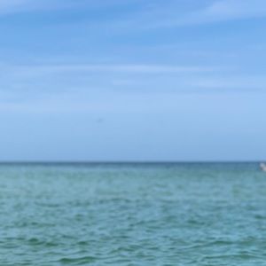 Meet your Posher, Ann